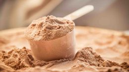 Protein Tozu Ne İşe Yarar?