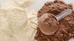Whey Protein Tozu Nasıl Üretilir?