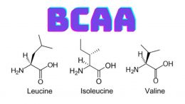BCAA Nedir Ve Nasıl Çalışır?