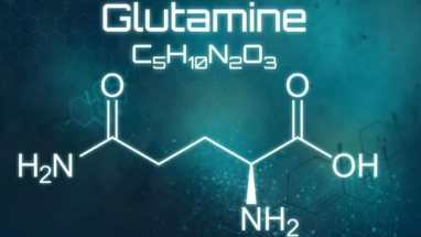 Glutamin Neden Sporcular İçin Önemlidir?